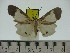  ( - ZWIER DNA 0315)  @12 [ ] Copyright (2010) Unspecified Research Collection of Jaap Zwier