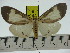  ( - ZWIER DNA 0316)  @12 [ ] Copyright (2010) Unspecified Research Collection of Jaap Zwier
