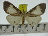  ( - ZWIER DNA 0317)  @12 [ ] Copyright (2010) Unspecified Research Collection of Jaap Zwier