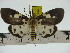  ( - ZWIER DNA 0319)  @13 [ ] Copyright (2010) Unspecified Research Collection of Jaap Zwier