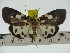  ( - ZWIER DNA 0321)  @13 [ ] Copyright (2010) Unspecified Research Collection of Jaap Zwier