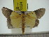  ( - ZWIER DNA 0324)  @14 [ ] Copyright (2010) Unspecified Research Collection of Jaap Zwier