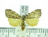  ( - ZWIER DNA 0332)  @13 [ ] Copyright (2010) Unspecified Research Collection of Jaap Zwier