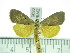  ( - ZWIER DNA 0335)  @14 [ ] Copyright (2010) Unspecified Research Collection of Jaap Zwier