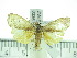  ( - ZWIER DNA 0336)  @13 [ ] Copyright (2010) Unspecified Research Collection of Jaap Zwier