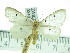  ( - ZWIER DNA 0340)  @13 [ ] Copyright (2010) Unspecified Research Collection of Jaap Zwier