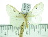  ( - ZWIER DNA 0341)  @14 [ ] Copyright (2010) Unspecified Research Collection of Jaap Zwier