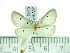  ( - ZWIER DNA 0343)  @14 [ ] Copyright (2010) Unspecified Research Collection of Jaap Zwier