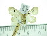  ( - ZWIER DNA 0344)  @14 [ ] Copyright (2010) Unspecified Research Collection of Jaap Zwier