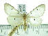  ( - ZWIER DNA 0345)  @14 [ ] Copyright (2010) Unspecified Research Collection of Jaap Zwier