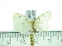  ( - ZWIER DNA 0346)  @14 [ ] Copyright (2010) Unspecified Research Collection of Jaap Zwier