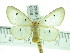  ( - ZWIER DNA 0348)  @14 [ ] Copyright (2010) Unspecified Research Collection of Jaap Zwier