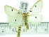  ( - ZWIER DNA 0349)  @14 [ ] Copyright (2010) Unspecified Research Collection of Jaap Zwier