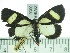  ( - ZWIER DNA 0356)  @13 [ ] Copyright (2010) Unspecified Research Collection of Jaap Zwier