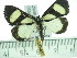  ( - ZWIER DNA 0359)  @12 [ ] Copyright (2010) Unspecified Research Collection of Jaap Zwier
