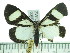  ( - ZWIER DNA 0360)  @13 [ ] Copyright (2010) Unspecified Research Collection of Jaap Zwier
