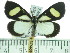  ( - ZWIER DNA 0361)  @12 [ ] Copyright (2010) Unspecified Research Collection of Jaap Zwier