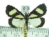  ( - ZWIER DNA 0362)  @13 [ ] Copyright (2010) Unspecified Research Collection of Jaap Zwier