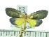  ( - ZWIER DNA 0384)  @13 [ ] Copyright (2010) Unspecified Research Collection of Jaap Zwier