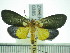  ( - ZWIER DNA 0385)  @13 [ ] Copyright (2010) Unspecified Research Collection of Jaap Zwier