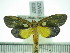  ( - ZWIER DNA 0387)  @12 [ ] Copyright (2010) Unspecified Research Collection of Jaap Zwier
