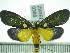  ( - ZWIER DNA 0388)  @14 [ ] Copyright (2010) Unspecified Research Collection of Jaap Zwier