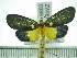  ( - ZWIER DNA 0389)  @12 [ ] Copyright (2010) Unspecified Research Collection of Jaap Zwier