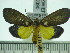  ( - ZWIER DNA 0390)  @13 [ ] Copyright (2010) Unspecified Research Collection of Jaap Zwier