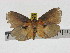  ( - ZWIER DNA 0821)  @13 [ ] CreativeCommons - Attribution Non-Commercial Share-Alike (2012) J. H. H. Zwier Unspecified
