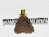  ( - ZWIER DNA 0822)  @13 [ ] CreativeCommons - Attribution Non-Commercial Share-Alike (2012) J. H. H. Zwier Unspecified