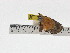  ( - ZWIER DNA 0823)  @13 [ ] CreativeCommons - Attribution Non-Commercial Share-Alike (2012) J. H. H. Zwier Unspecified