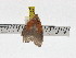  ( - ZWIER DNA 0824)  @13 [ ] CreativeCommons - Attribution Non-Commercial Share-Alike (2012) J. H. H. Zwier Unspecified