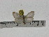  ( - ZWIER DNA 0830)  @13 [ ] CreativeCommons - Attribution Non-Commercial Share-Alike (2012) J. H. H. Zwier Unspecified