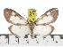  ( - ZWIER DNA 0850)  @13 [ ] CreativeCommons - Attribution Non-Commercial Share-Alike (2012) J. H. H. Zwier Unspecified