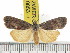  ( - ZWIER DNA 0853)  @11 [ ] CreativeCommons - Attribution Non-Commercial Share-Alike (2012) J. H. H. Zwier Unspecified