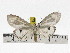  ( - ZWIER DNA 0856)  @12 [ ] CreativeCommons - Attribution Non-Commercial Share-Alike (2012) J. H. H. Zwier Unspecified