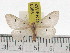  ( - ZWIER DNA 0885)  @14 [ ] CreativeCommons - Attribution Non-Commercial Share-Alike (2012) J. H. H. Zwier Unspecified