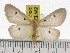  ( - ZWIER DNA 0887)  @14 [ ] CreativeCommons - Attribution Non-Commercial Share-Alike (2012) J. H. H. Zwier Unspecified