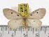  ( - ZWIER DNA 0888)  @14 [ ] CreativeCommons - Attribution Non-Commercial Share-Alike (2012) J. H. H. Zwier Unspecified