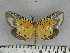  ( - ZWIER DNA 1051)  @11 [ ] Copyright (2010) Jaap Zwier Research Collection of Jaap Zwier