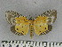  ( - ZWIER DNA 1052)  @11 [ ] Copyright (2010) Jaap Zwier Research Collection of Jaap Zwier
