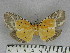  ( - ZWIER DNA 1053)  @11 [ ] Copyright (2010) Jaap Zwier Research Collection of Jaap Zwier