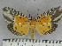  ( - ZWIER DNA 1054)  @11 [ ] Copyright (2010) Jaap Zwier Research Collection of Jaap Zwier