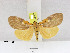  ( - ZWIER DNA 1093)  @11 [ ] Copyright (2010) Jaap Zwier Research Collection of Jaap Zwier