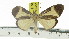  ( - ZWIER DNA 0916)  @12 [ ] CreativeCommons - Attribution Non-Commercial Share-Alike (2012) J. H. H. Zwier Unspecified