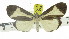  ( - ZWIER DNA 0921)  @13 [ ] CreativeCommons - Attribution Non-Commercial Share-Alike (2012) J. H. H. Zwier Unspecified