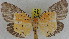  ( - ZWIER DNA 0931)  @14 [ ] CreativeCommons - Attribution Non-Commercial Share-Alike (2012) J. H. H. Zwier Unspecified