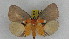  ( - ZWIER DNA 0932)  @14 [ ] CreativeCommons - Attribution Non-Commercial Share-Alike (2012) J. H. H. Zwier Unspecified