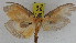  ( - ZWIER DNA 0933)  @13 [ ] CreativeCommons - Attribution Non-Commercial Share-Alike (2012) J. H. H. Zwier Unspecified