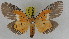  ( - ZWIER DNA 0935)  @14 [ ] CreativeCommons - Attribution Non-Commercial Share-Alike (2012) J. H. H. Zwier Unspecified